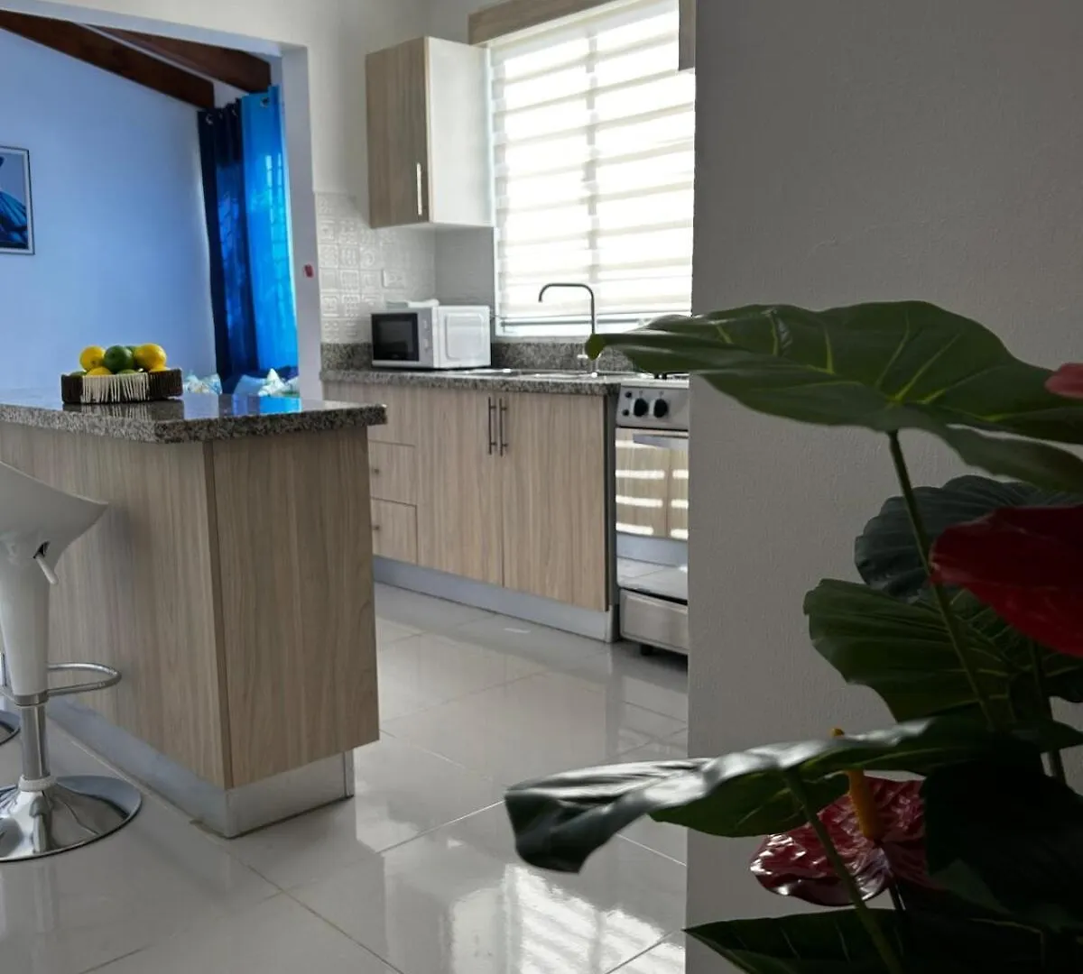 Comfy Apartment City Located Santiago De Los Caballeros